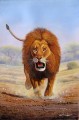 Mugwe avanzando león desde África